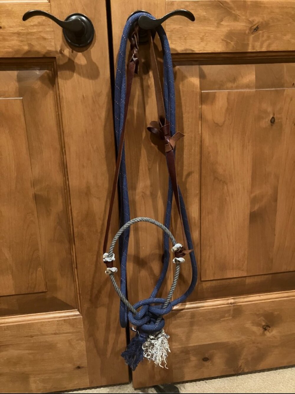 Blue Loping Hackamore with Mecate Reins